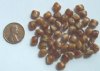 50 6x8mm Tortoise Caramel Flat Nuggets